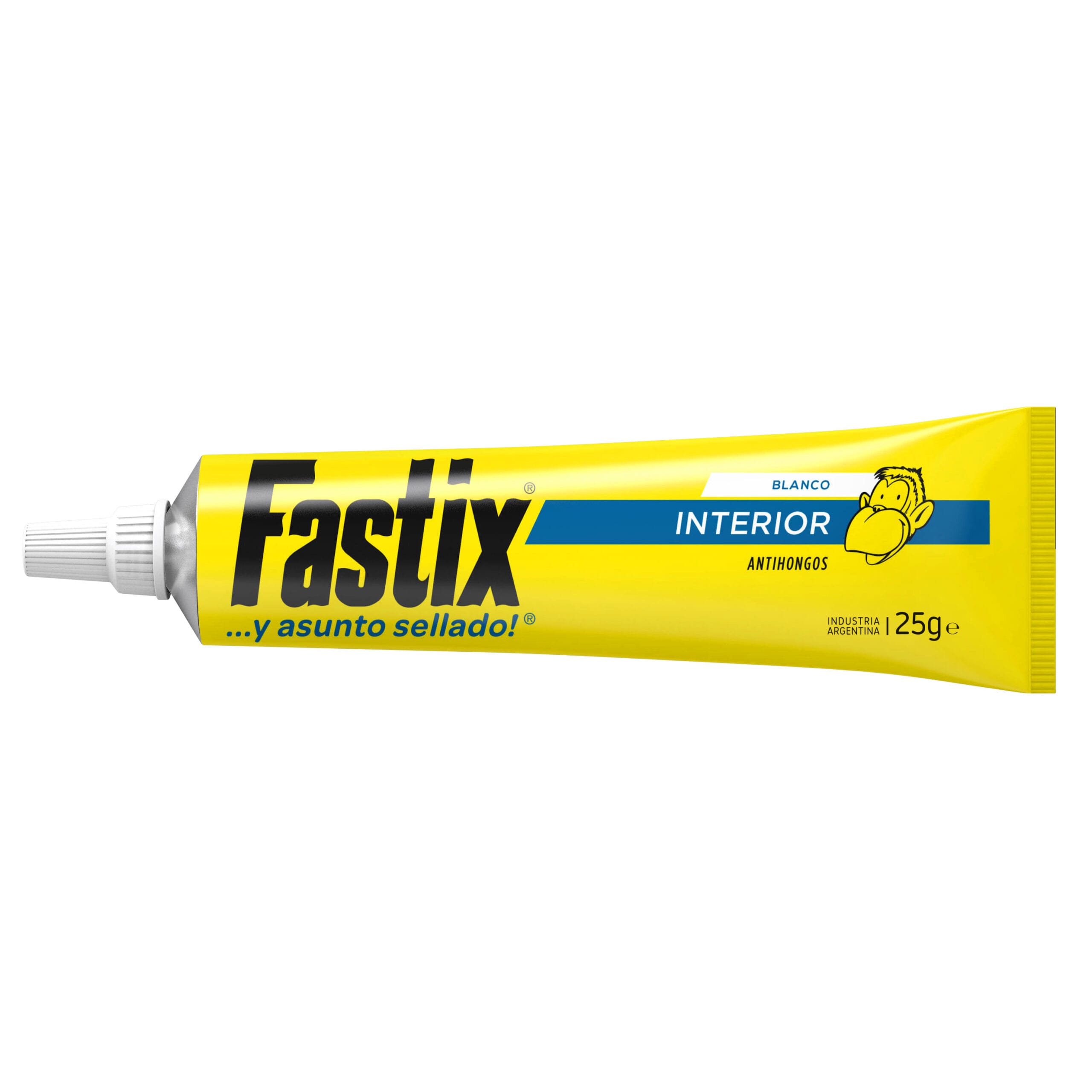 FASTIX® INT.BLA.25G